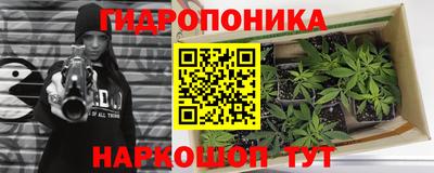 дживик Кунгур