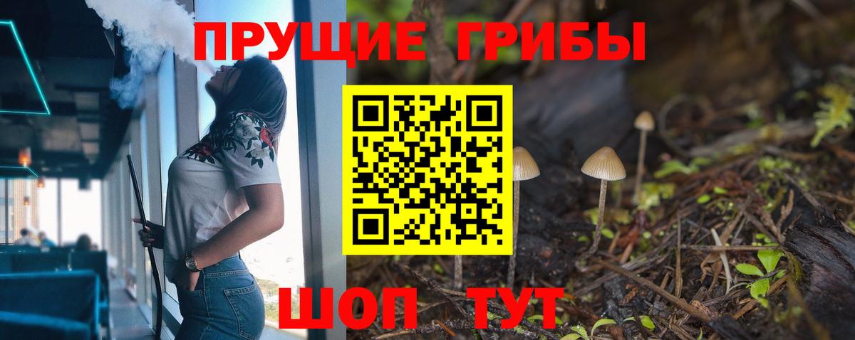 Избербаш  Галлюциногенные грибы прущие грибы  Галлюциногенные грибы Psilocybine cubensis  Вход с VPN 
